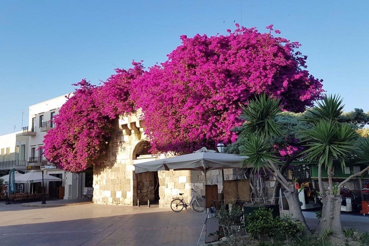 Sandys Studios Apartments And Log Villas Psalidi (Kos) Exterior foto